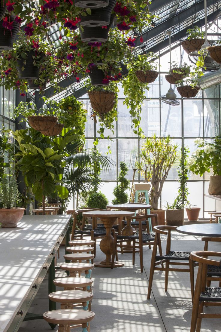 roy choi greenhouse ace hotel Downtown la