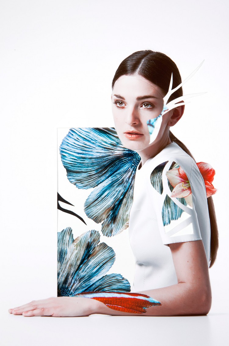 Rocio Montoya collages exclusive trendland