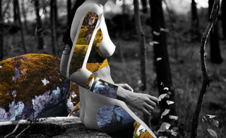 collages by rocio montoya