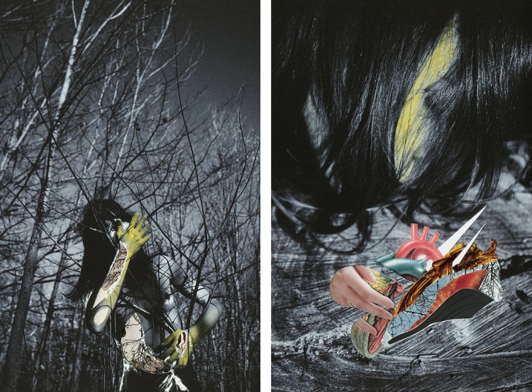 collages by rocio montoya