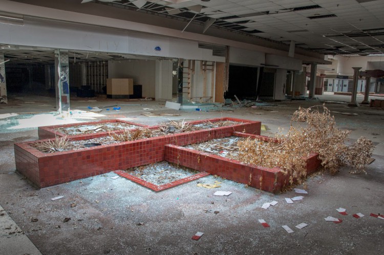 seph lawlesss black friday series