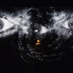 traveling lady performance rossy de palma