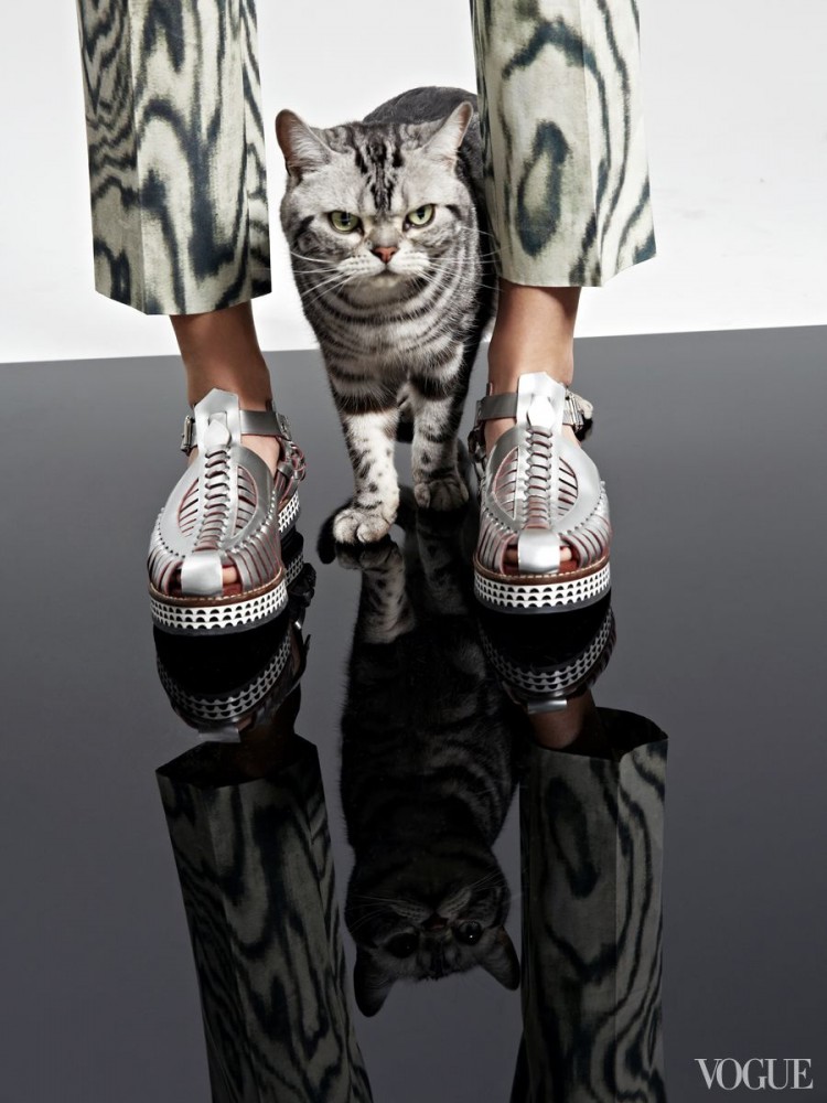 Vogue animal editorial