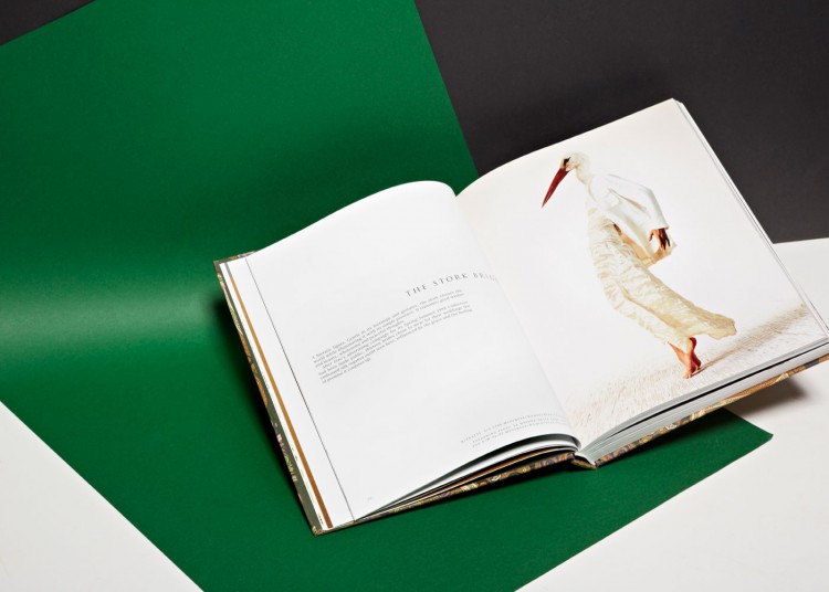 etro rizzoli monograph