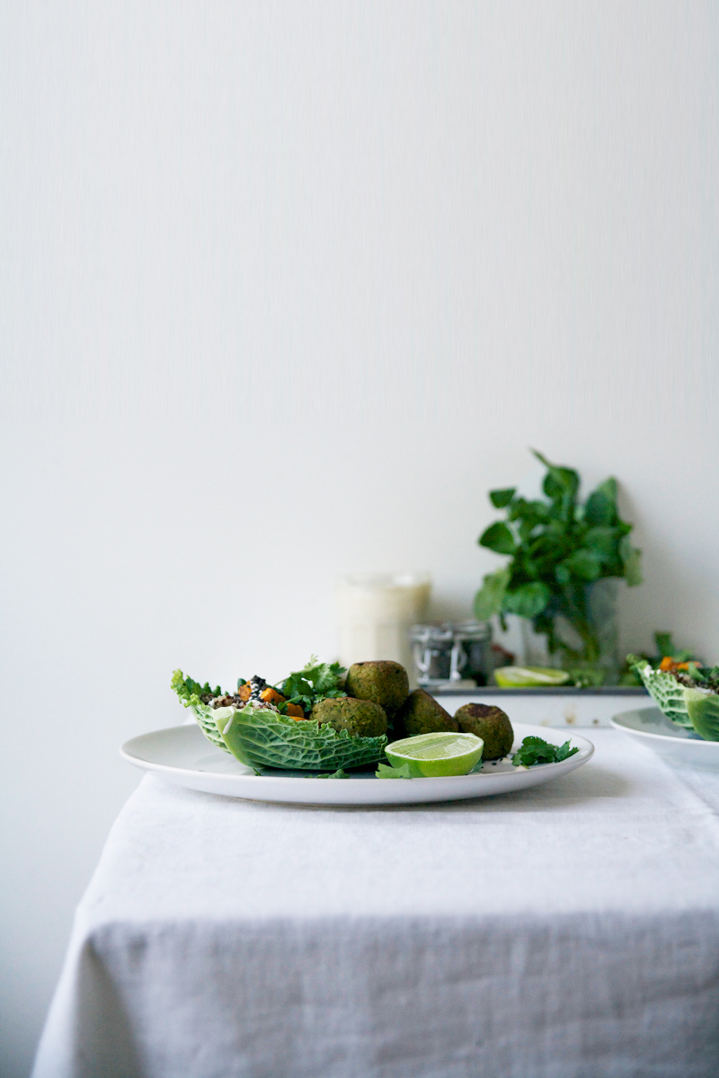 falafel recipe renee kemps