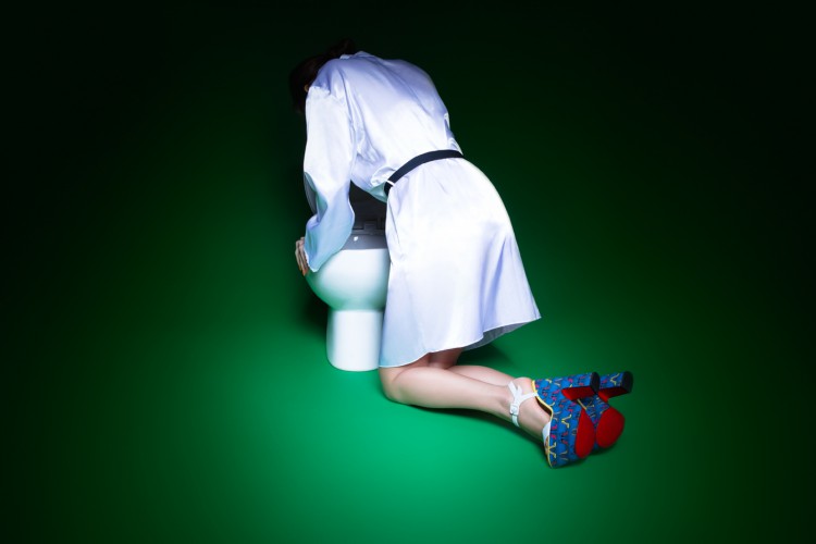 plastik lady in the loo editorial