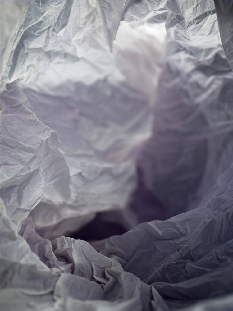 plastic bags landscapes