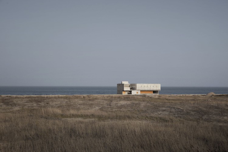 Vector Architects Seashore Library