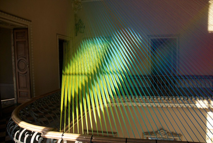 gabriel dawe plexus art