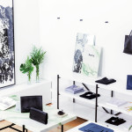 AnatoleBySavvyStudio_