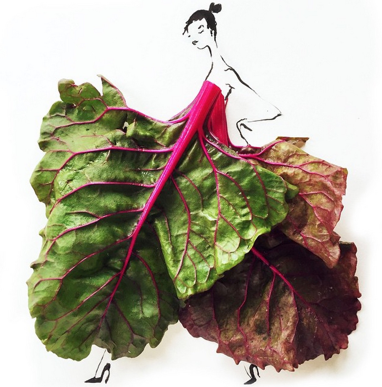 Gretchen Roehrs illustrations
