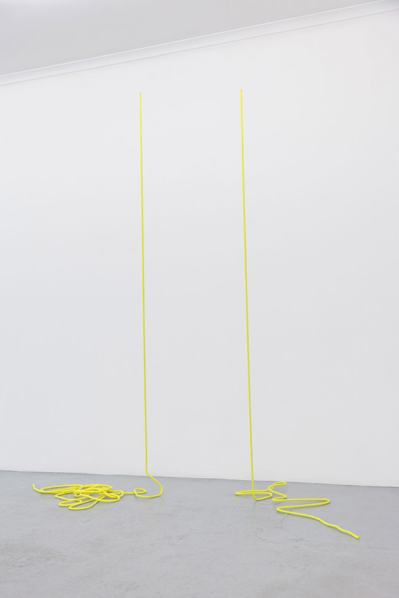 Todd Robinson Experiments in Natural Philosophy Installation Yellowtrace