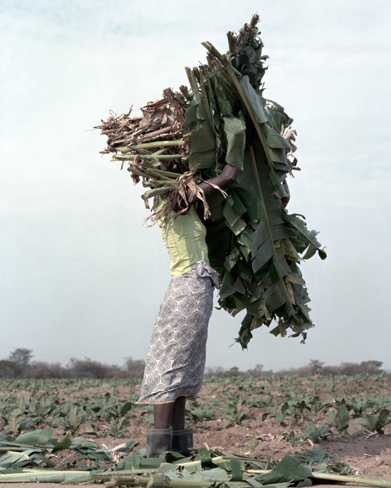 jackie nickerson portraits