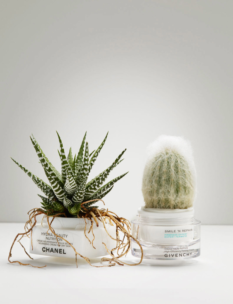 linnea apelqvist amica