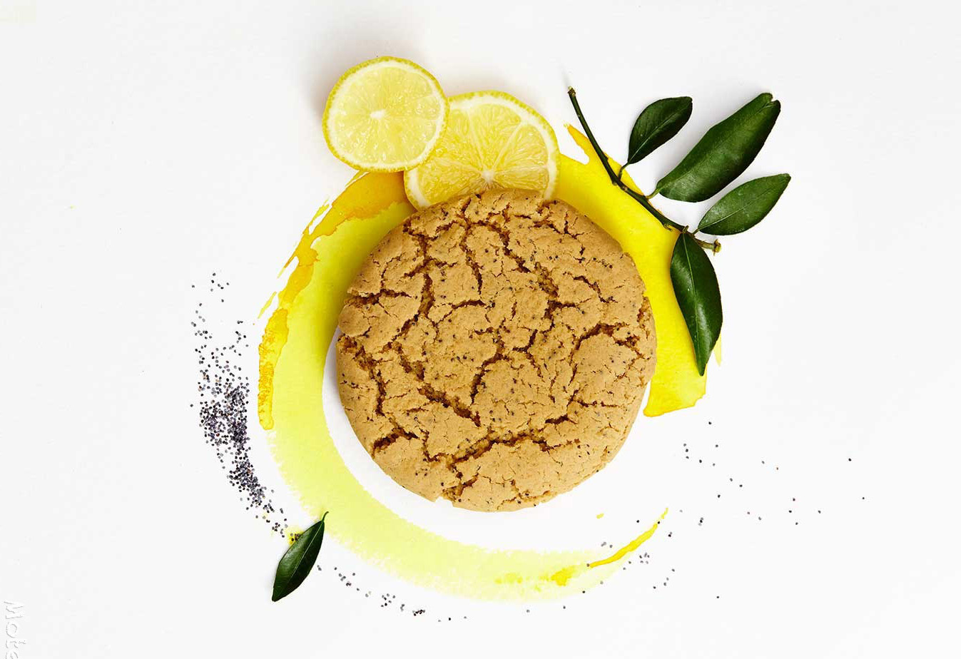 Spice Transformation