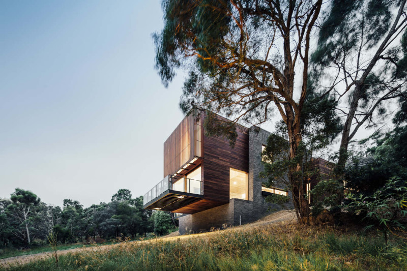 moloney architects