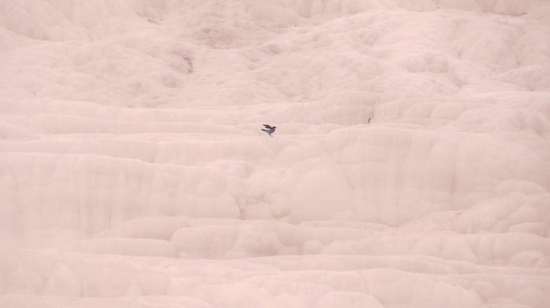 Watchtower of Turkey leonardo dalessandri