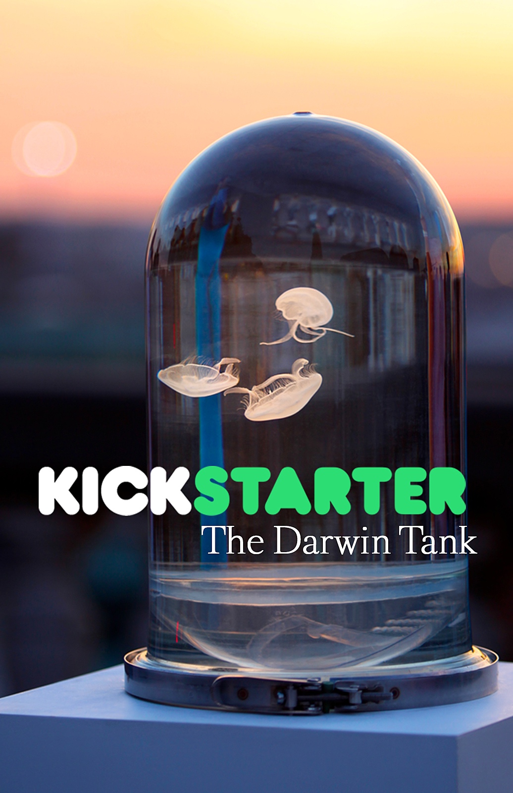 darwin kickstarter_