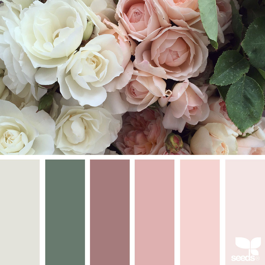 design seeds color palettes inspired by nature