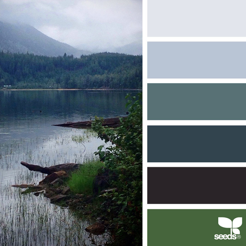 design seeds color palettes inspired by nature