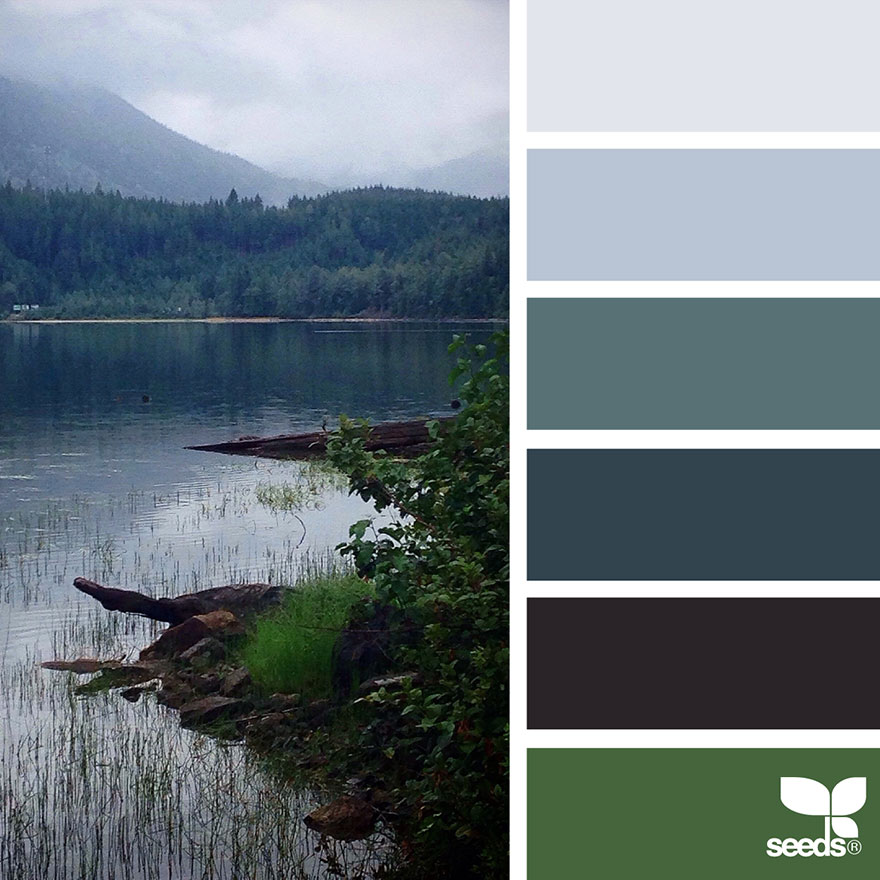 Color Set  Design seeds color palette, Color palette design