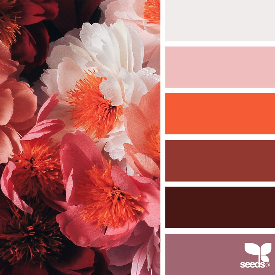 design seeds color palettes inspired by nature