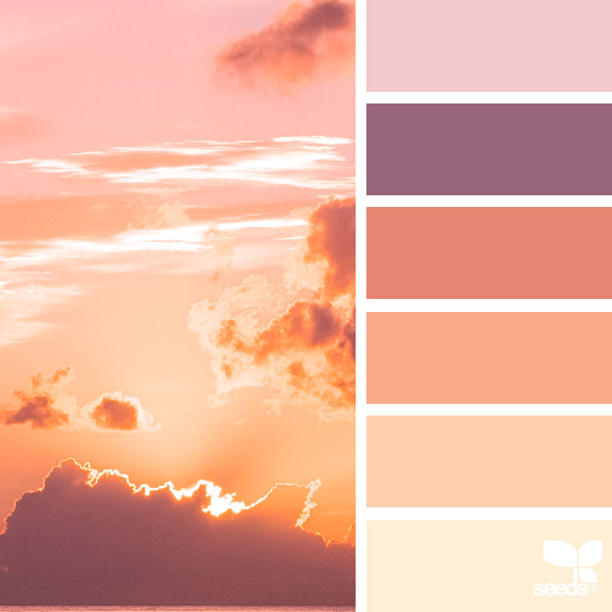 Color Set  Sunset color palette, Seeds color, Design seeds color