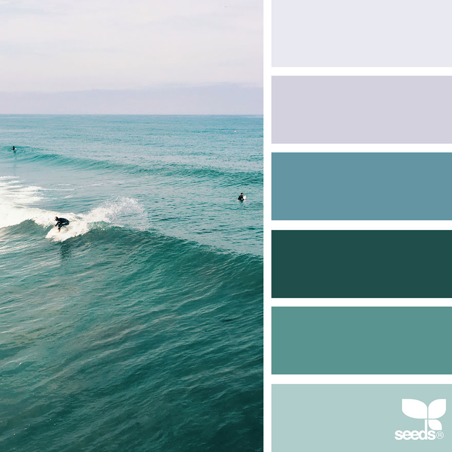 design seeds color palettes inspired by nature