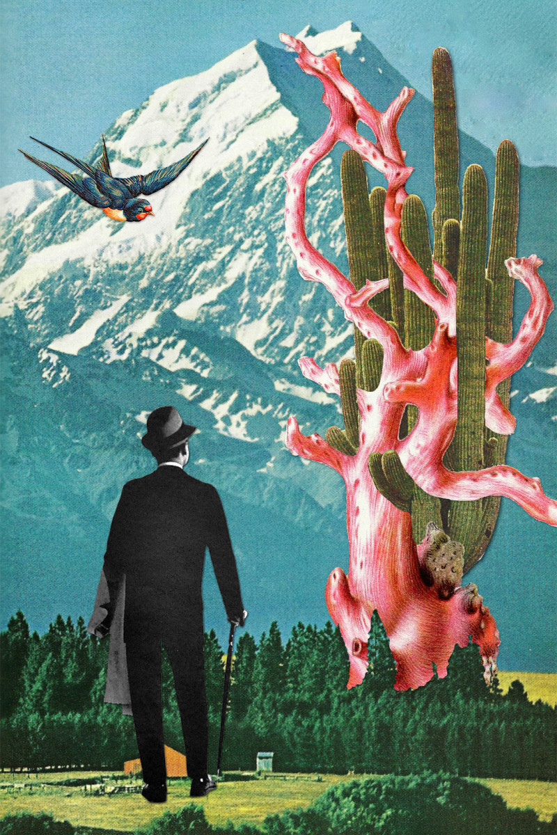 eugenia loli mixed media collages