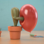 happy d video panoply