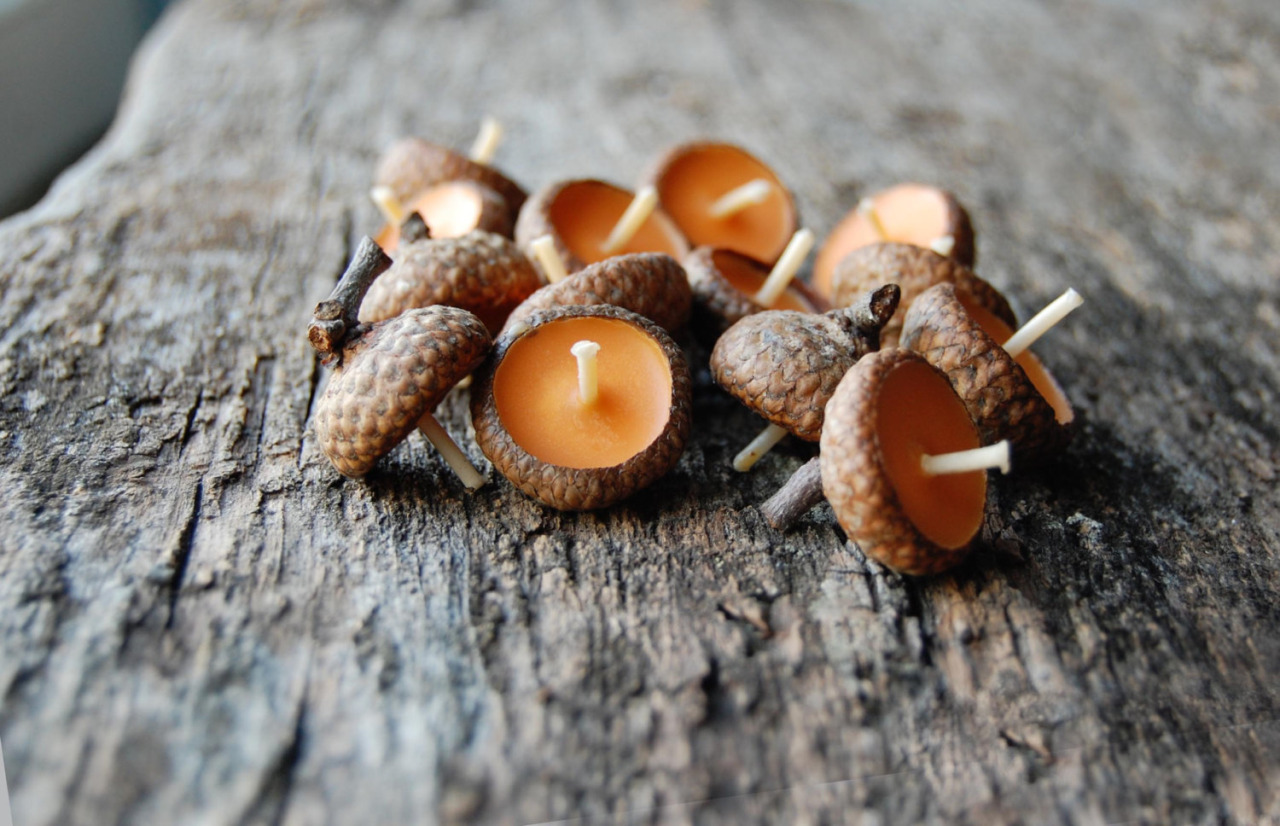 fruit candles