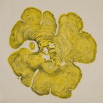 Bryan Nash Gill woodcuts