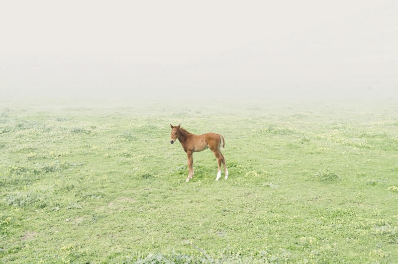 Petros Koublis Ephemeral Landscapes