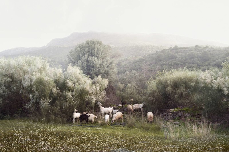 Petros Koublis Ephemeral Landscapes