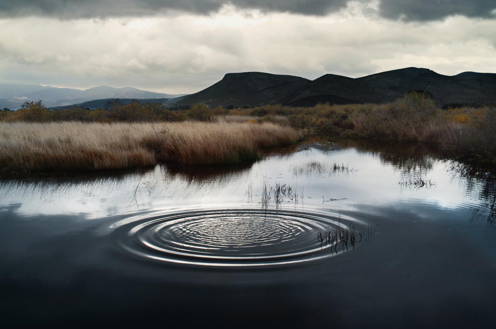 Petros Koublis Ephemeral Landscapes