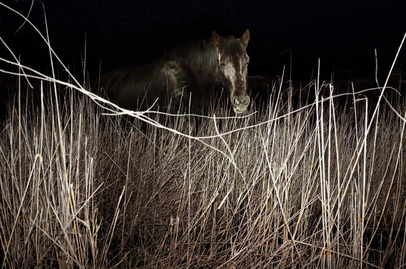 Petros Koublis Ephemeral Landscapes