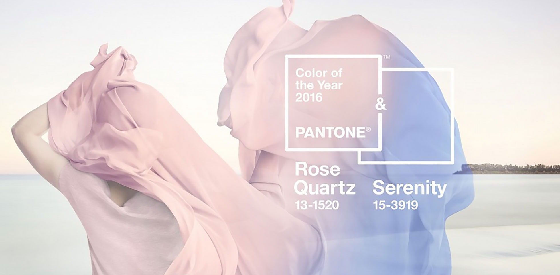 pantone color of the year serenity rose quartz