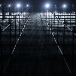 nanotak volume day for night festival trendland