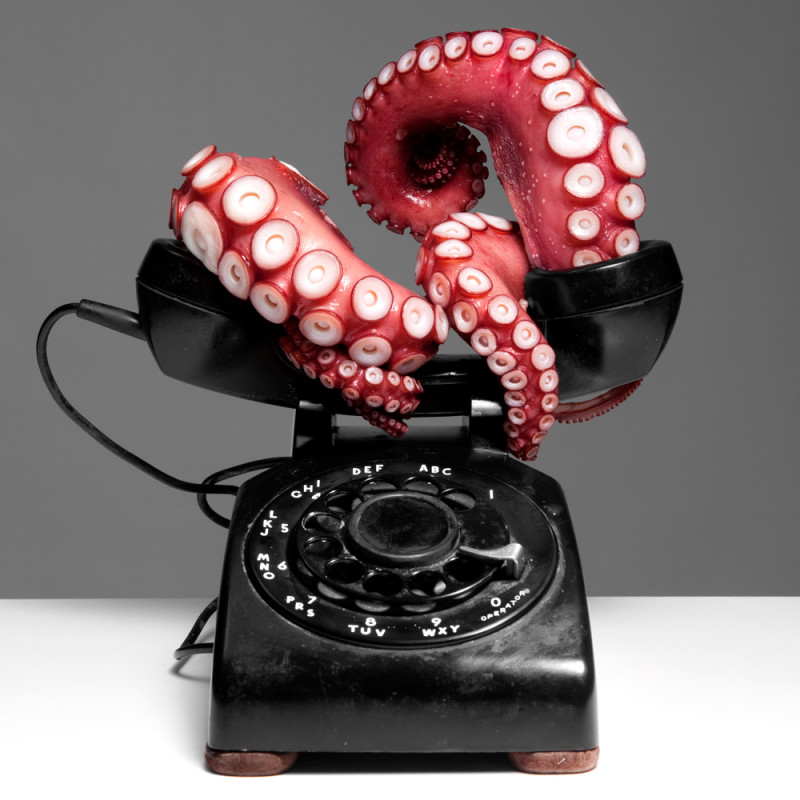 Max shuster octopus telephone