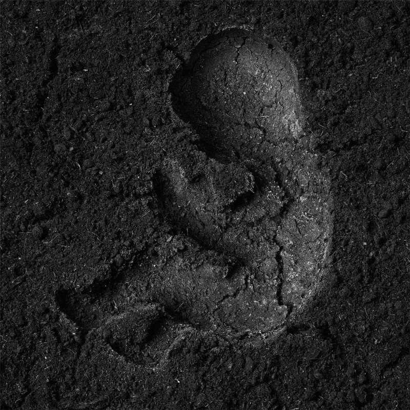 Ronald smits earth