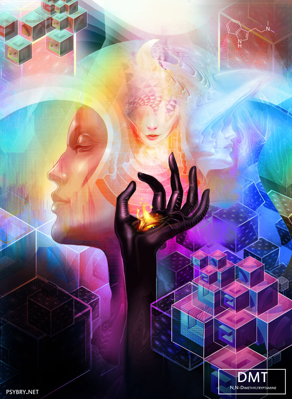 brian pollett illustrations drugs day _dmt