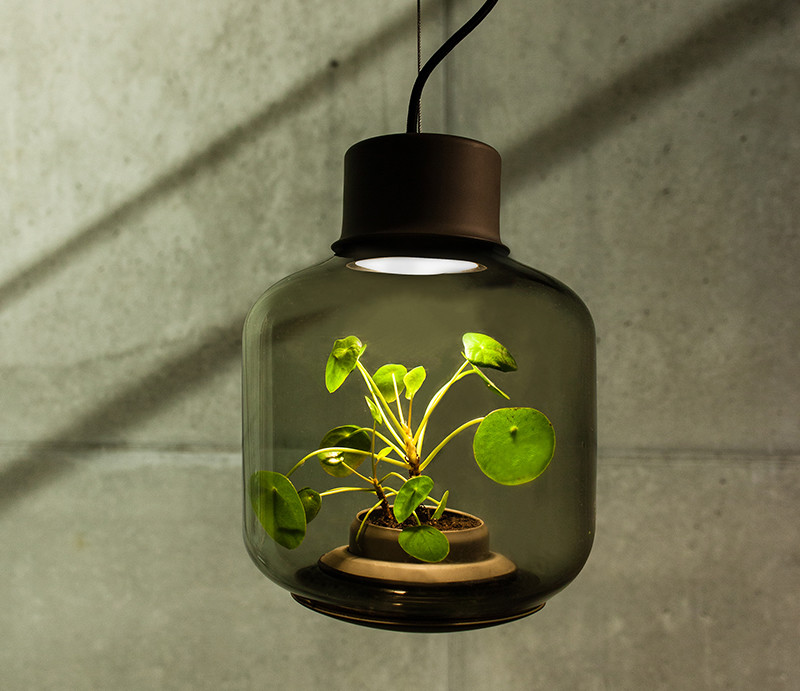 plants in windowless spaces we love eams