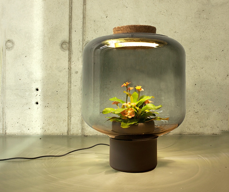 plants in windowless spaces we love eams