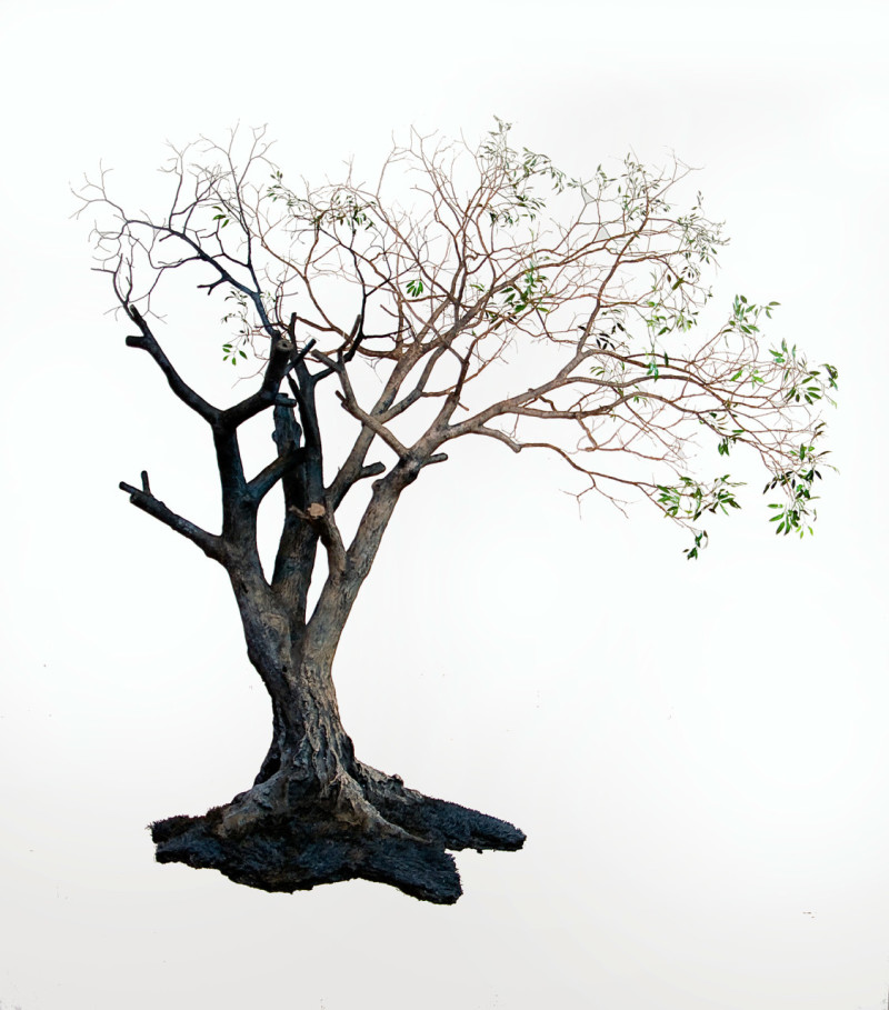 tree sculptures of jorge mayet