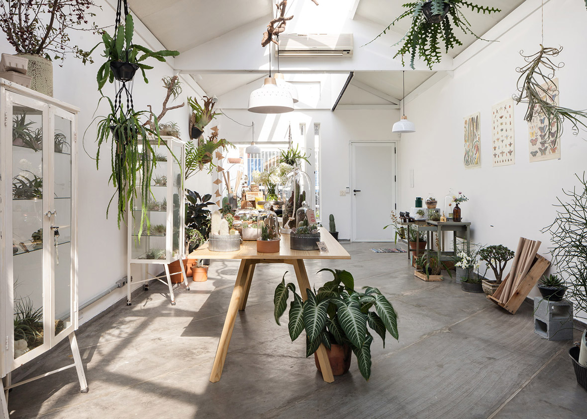 Flo, A Botanical Concept Store in Brazil