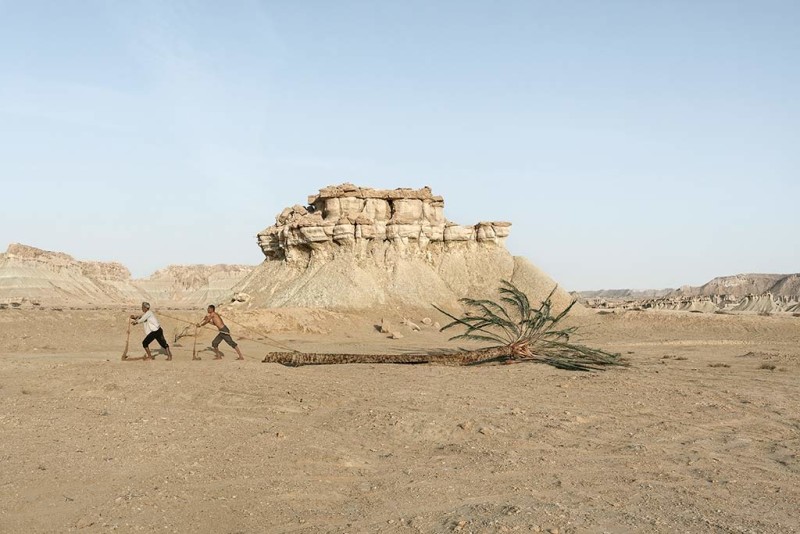 Gohar Dashti Iran Stateless