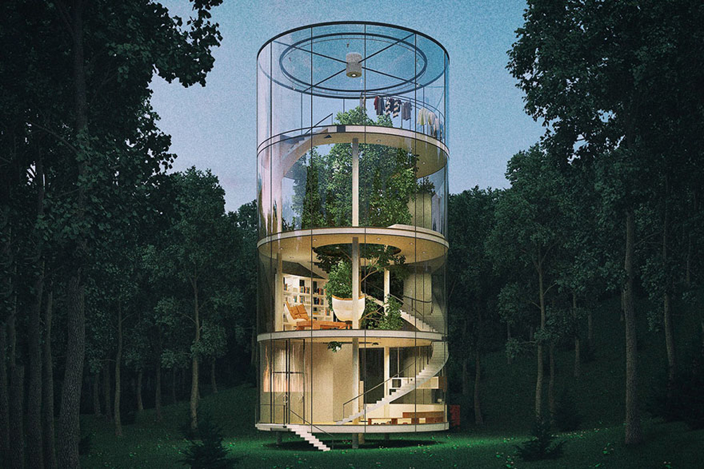 tubular glass house built around tree masow architects