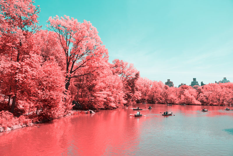 central park infared paolo pettigiani