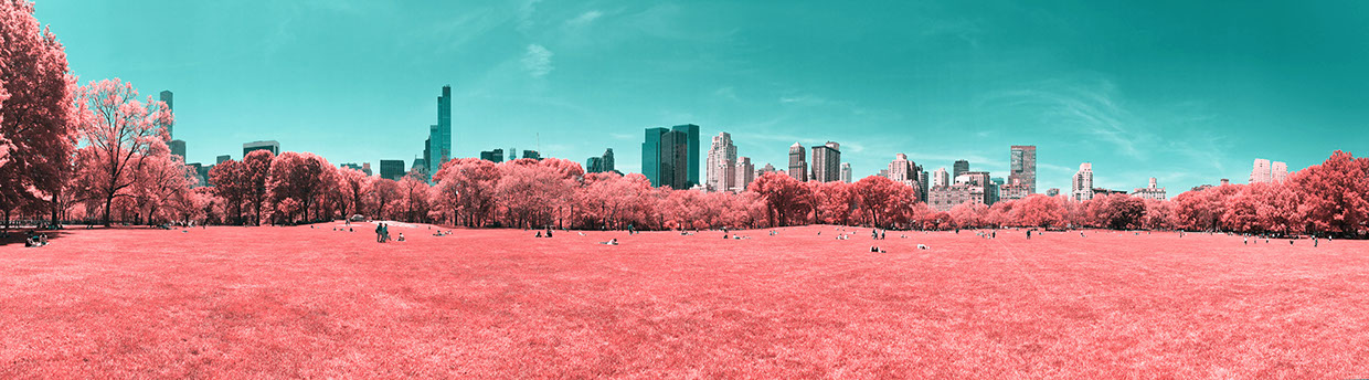 central park infared paolo pettigiani