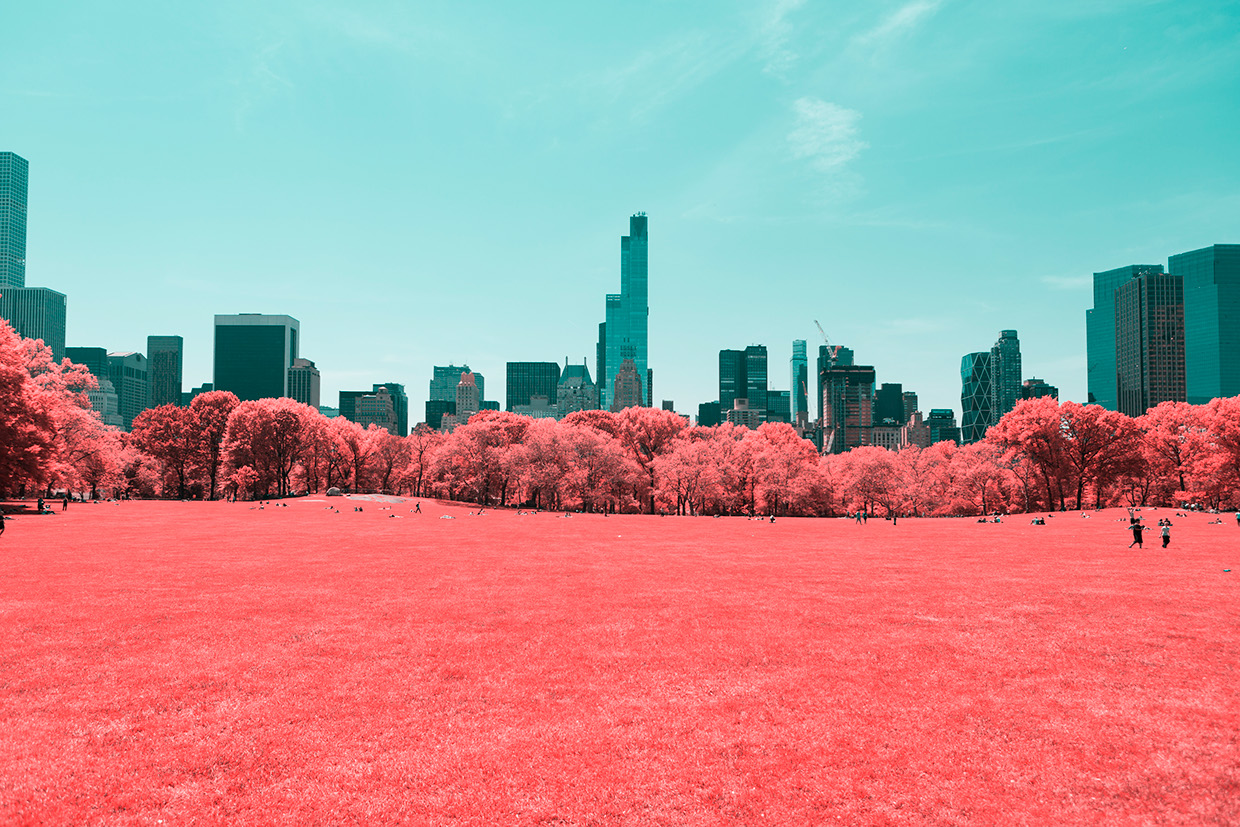 central park infared paolo pettigiani